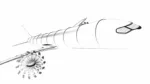 Airbus New Aircraft