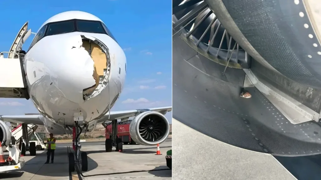 Iberia A321XLR Damaged